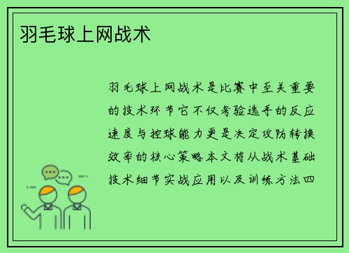 羽毛球上网战术